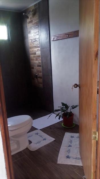 Casa Morella Monteverde Екстериор снимка